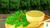Moringa for Weight Loss: How This “Miracle Tree” Can Help You Burn Fat Naturally - Post Thumbnail