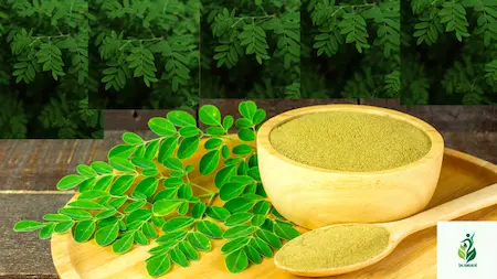1. moringa powder benefits for weight loss