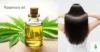 Rosemary Oil serum for Hair Growth: Natural Remedies That Actually Work - Post Thumbnail