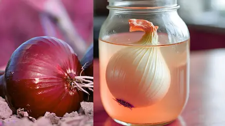 onion juice hair mask recipe