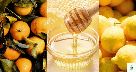 Natural Alternatives to Tranexamic Acid for Brighter, Clearer Skin